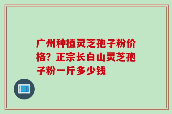 广州种植灵芝孢子粉价格?正宗长白山灵芝孢子粉一斤多少钱 广州种植灵芝孢子粉价格?正宗长白山灵芝孢子粉一斤多少钱