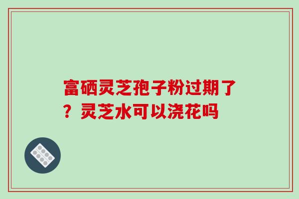富硒灵芝孢子粉过期了？灵芝水可以浇花吗