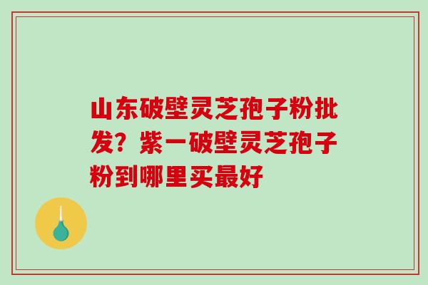 山东破壁灵芝孢子粉批发？紫一破壁灵芝孢子粉到哪里买最好
