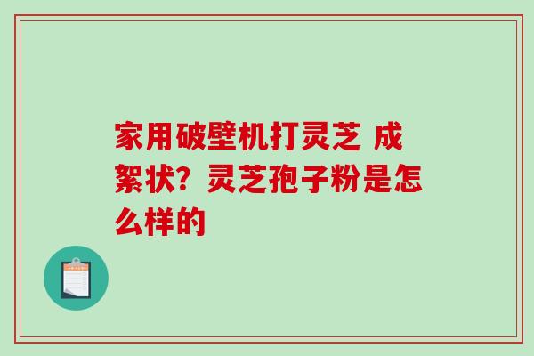 家用破壁机打灵芝 成絮状？灵芝孢子粉是怎么样的