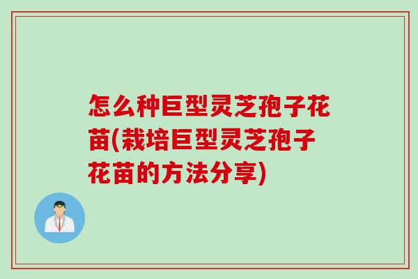怎么种巨型灵芝孢子花苗(栽培巨型灵芝孢子花苗的方法分享) 怎么种巨型灵芝孢子花苗(栽培巨型灵芝孢子花苗的方法分享)