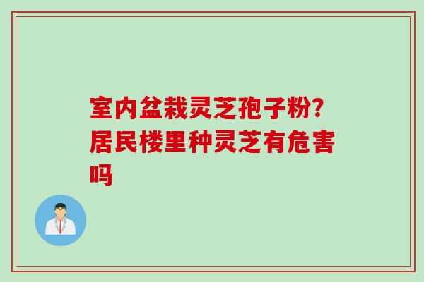 室内盆栽灵芝孢子粉？居民楼里种灵芝有危害吗