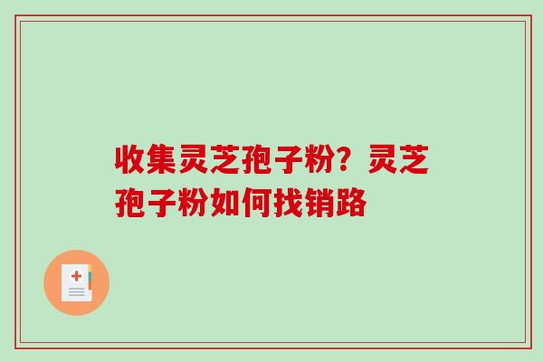 收集灵芝孢子粉？灵芝孢子粉如何找销路