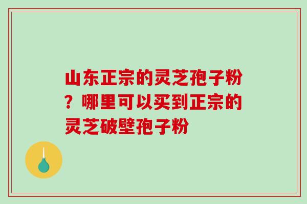 山东正宗的灵芝孢子粉？哪里可以买到正宗的灵芝破壁孢子粉