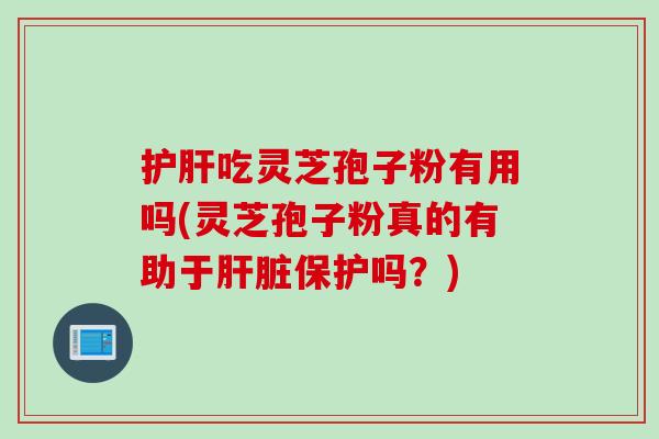 护肝吃灵芝孢子粉有用吗(灵芝孢子粉真的有助于肝脏保护吗？)