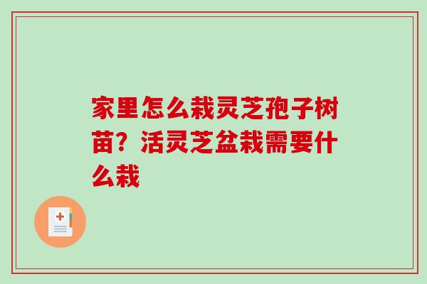 家里怎么栽灵芝孢子树苗？活灵芝盆栽需要什么栽