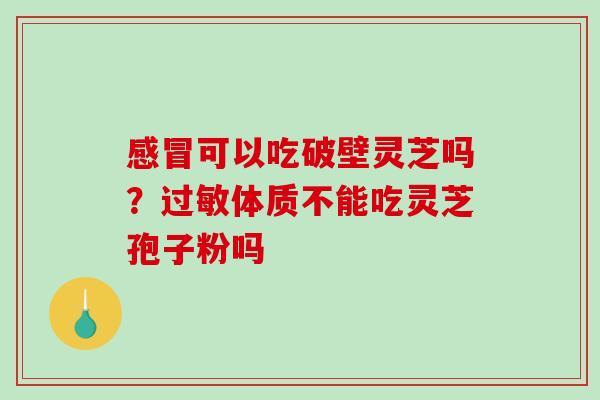 可以吃破壁灵芝吗?体质不能吃灵芝孢子粉吗 可以吃破壁灵芝吗?体质不能吃灵芝孢子粉吗
