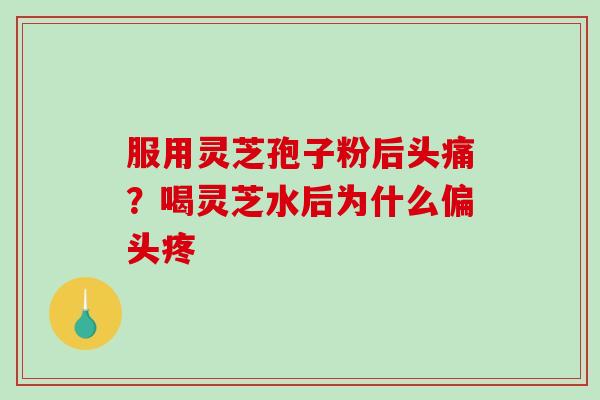 服用灵芝孢子粉后头痛？喝灵芝水后为什么偏头疼