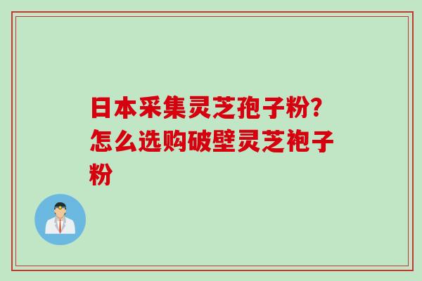 日本采集灵芝孢子粉？怎么选购破壁灵芝袍子粉