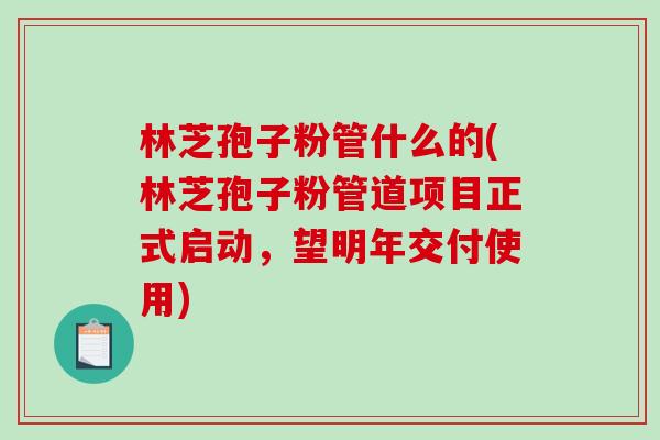 林芝孢子粉管什么的(林芝孢子粉管道项目正式启动，望明年交付使用)
