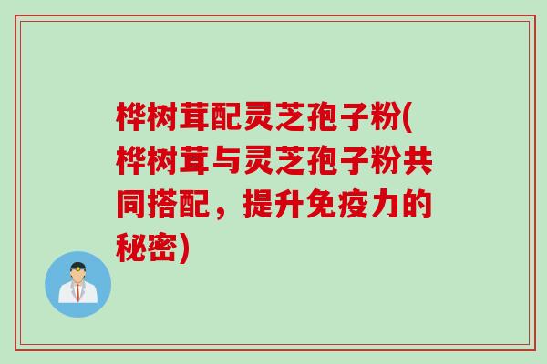 桦树茸配灵芝孢子粉(桦树茸与灵芝孢子粉共同搭配，提升免疫力的秘密)