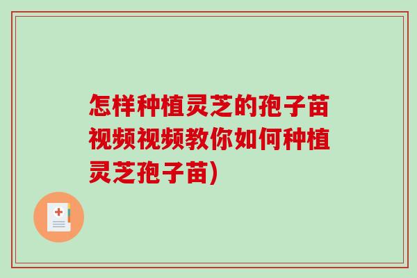 怎样种植灵芝的孢子苗视频视频教你如何种植灵芝孢子苗) 怎样种植灵芝的孢子苗视频视频教你如何种植灵芝孢子苗)