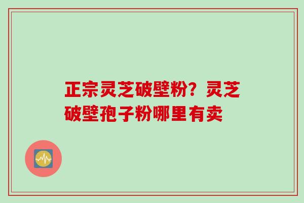 正宗灵芝破壁粉？灵芝破壁孢子粉哪里有卖