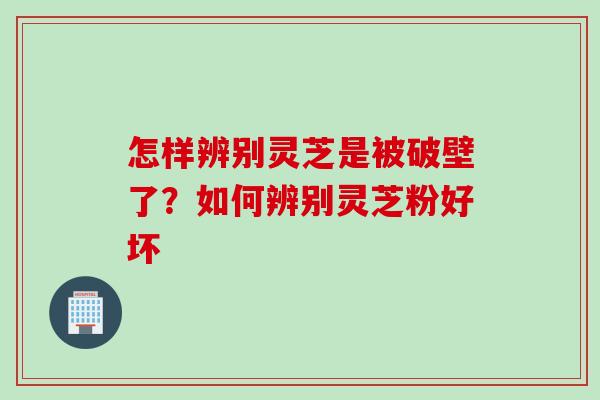 怎样辨别灵芝是被破壁了？如何辨别灵芝粉好坏
