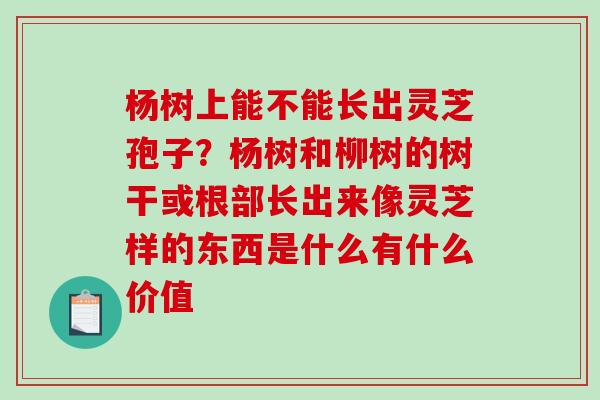 杨树上能不能长出灵芝孢子？杨树和柳树的树干或根部长出来像灵芝样的东西是什么有什么价值