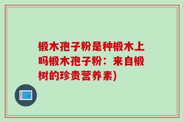 椴木孢子粉是种椴木上吗椴木孢子粉：来自椴树的珍贵营养素)