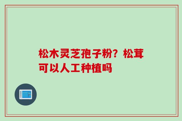 松木灵芝孢子粉？松茸可以人工种植吗
