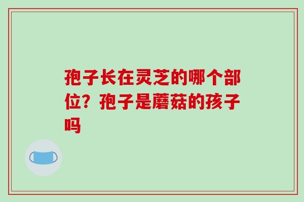 孢子长在灵芝的哪个部位？孢子是蘑菇的孩子吗