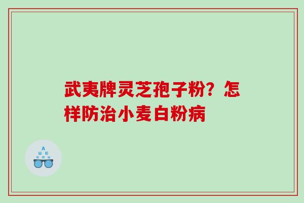 武夷牌灵芝孢子粉？怎样防治小麦白粉病