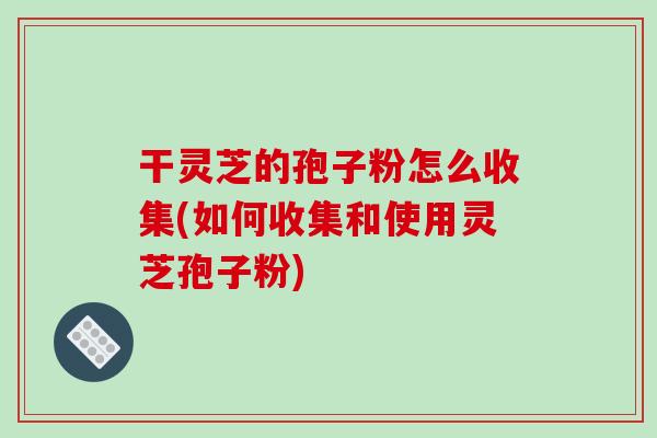 干灵芝的孢子粉怎么收集(如何收集和使用灵芝孢子粉)