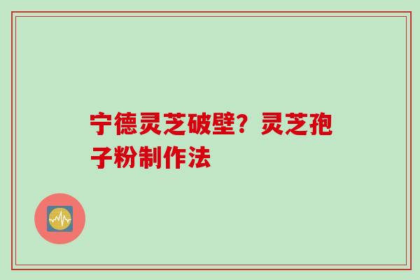 宁德灵芝破壁？灵芝孢子粉制作法