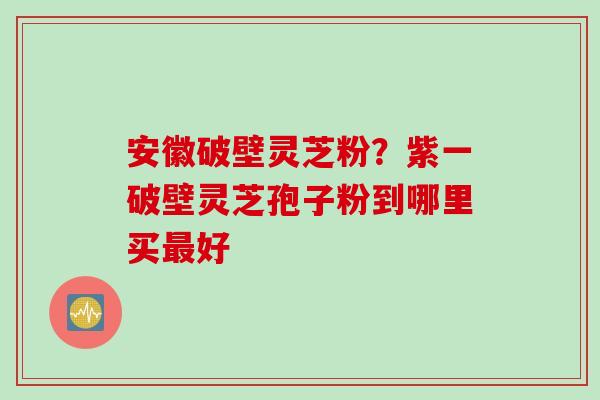 安徽破壁灵芝粉？紫一破壁灵芝孢子粉到哪里买最好