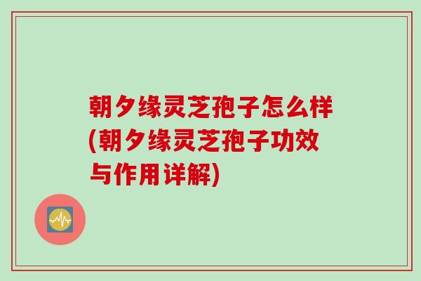 朝夕缘灵芝孢子怎么样(朝夕缘灵芝孢子功效与作用详解)