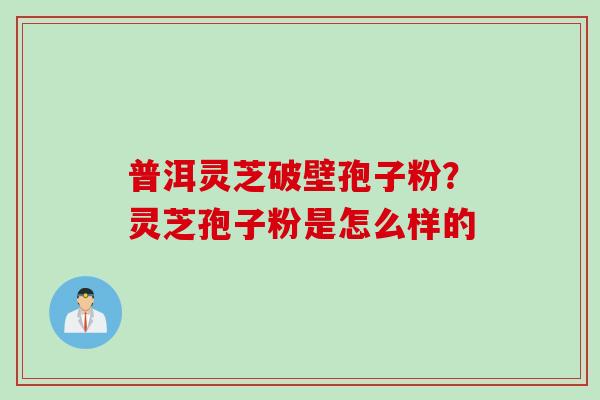 普洱灵芝破壁孢子粉？灵芝孢子粉是怎么样的