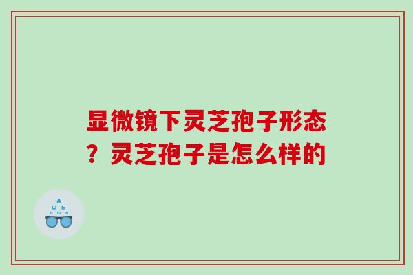 显微镜下灵芝孢子形态？灵芝孢子是怎么样的