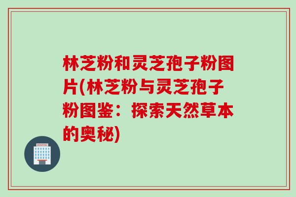 林芝粉和灵芝孢子粉图片(林芝粉与灵芝孢子粉图鉴：探索天然草本的奥秘)