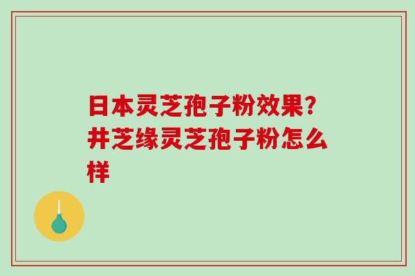 日本灵芝孢子粉效果？井芝缘灵芝孢子粉怎么样