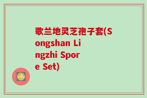 歌兰地灵芝孢子套(Songshan Lingzhi Spore Set)