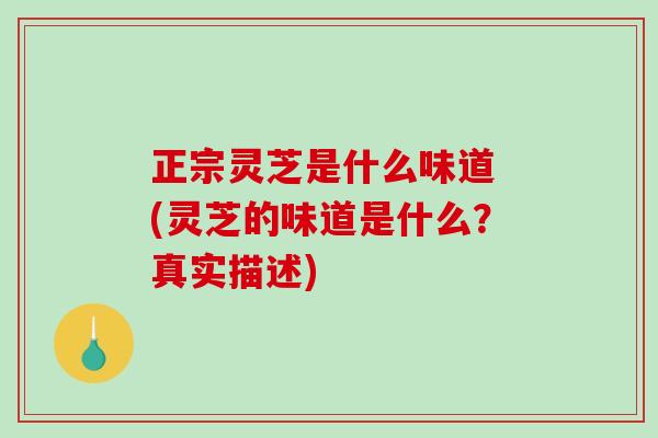 正宗灵芝是什么味道 (灵芝的味道是什么？真实描述)