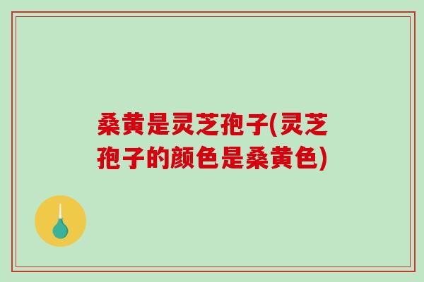 桑黄是灵芝孢子(灵芝孢子的颜色是桑黄色)