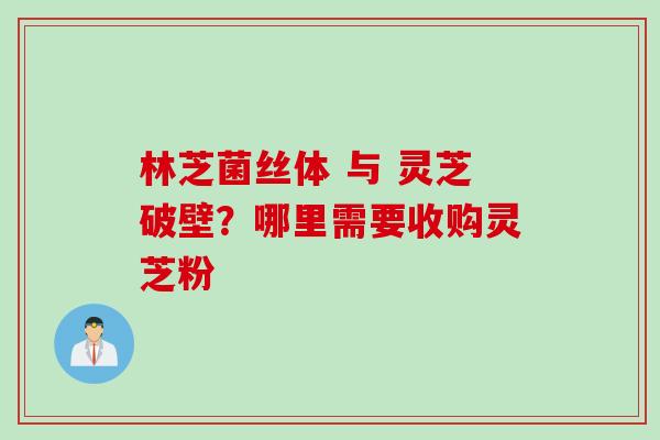 林芝菌丝体 与 灵芝破壁？哪里需要收购灵芝粉