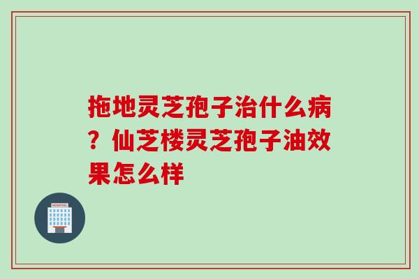 拖地灵芝孢子治什么病？仙芝楼灵芝孢子油效果怎么样