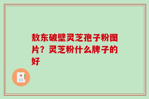 敖东破壁灵芝孢子粉图片？灵芝粉什么牌子的好