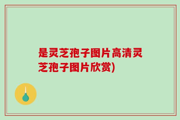 是灵芝孢子图片高清灵芝孢子图片欣赏)