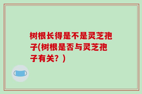 树根长得是不是灵芝孢子(树根是否与灵芝孢子有关？)