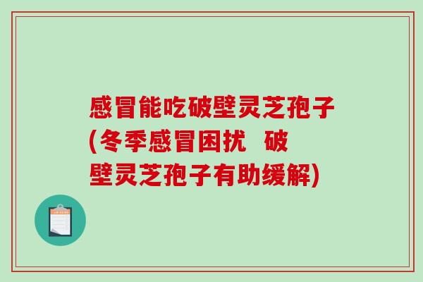 感冒能吃破壁灵芝孢子(冬季感冒困扰  破壁灵芝孢子有助缓解)