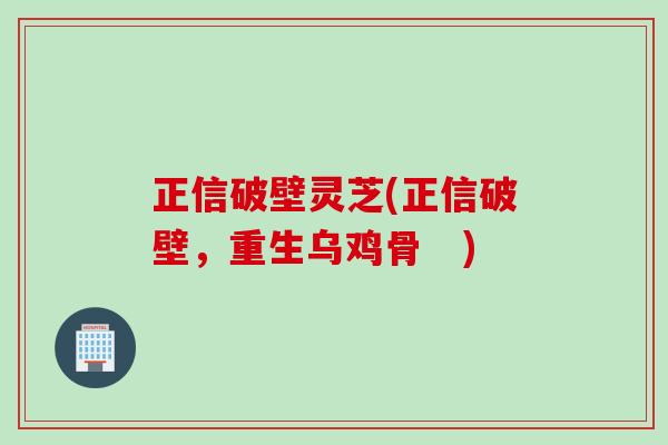 正信破壁灵芝(正信破壁，重生乌鸡骨　)