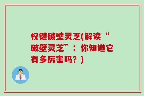 权键破壁灵芝(解读“破壁灵芝”：你知道它有多厉害吗？)