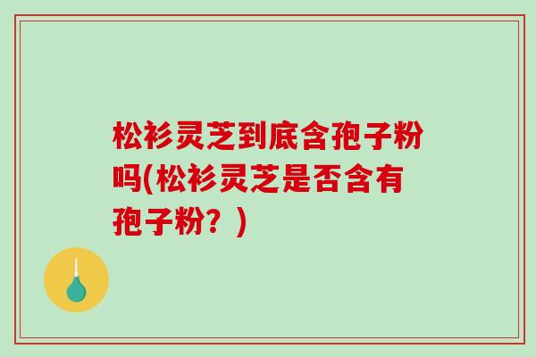 松衫灵芝到底含孢子粉吗(松衫灵芝是否含有孢子粉？)