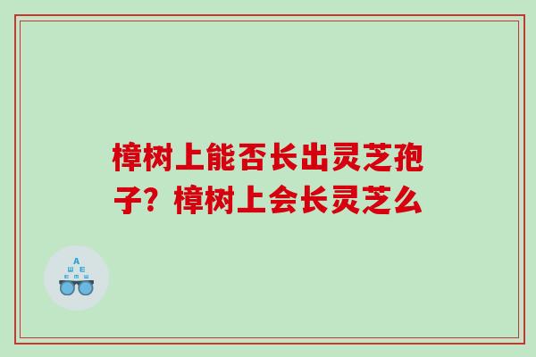 樟树上能否长出灵芝孢子？樟树上会长灵芝么