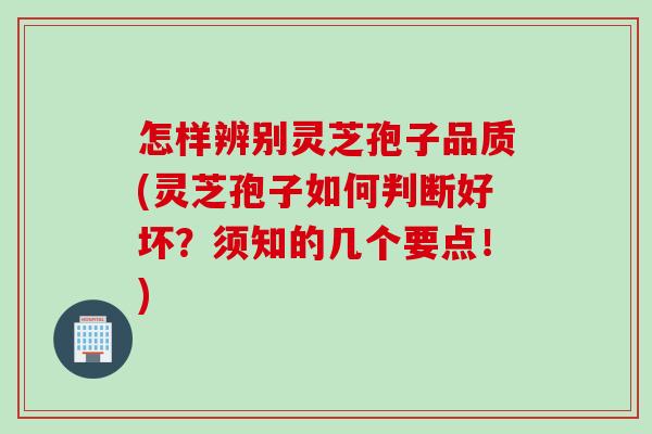 怎样辨别灵芝孢子品质(灵芝孢子如何判断好坏？须知的几个要点！)