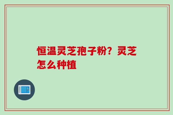 恒温灵芝孢子粉？灵芝怎么种植