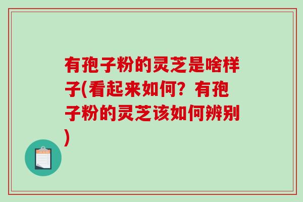 有孢子粉的灵芝是啥样子(看起来如何？有孢子粉的灵芝该如何辨别)