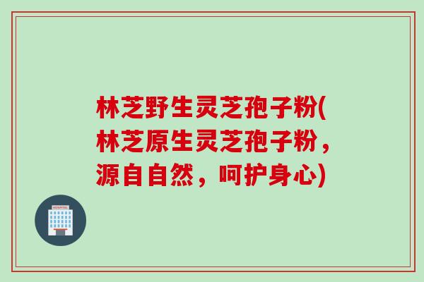 林芝野生灵芝孢子粉(林芝原生灵芝孢子粉，源自自然，呵护身心)