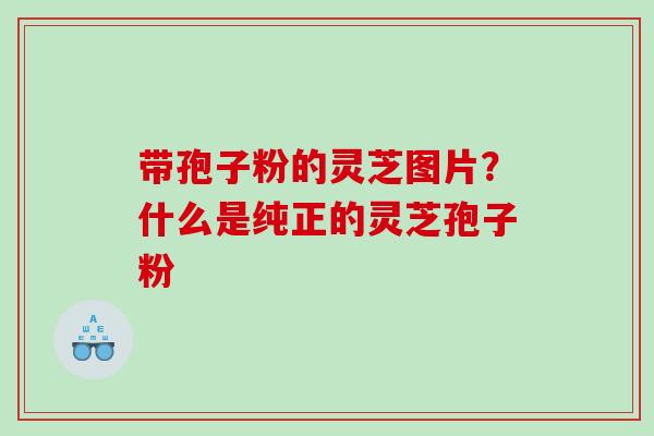 带孢子粉的灵芝图片？什么是纯正的灵芝孢子粉