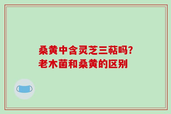 桑黄中含灵芝三萜吗？老木菌和桑黄的区别